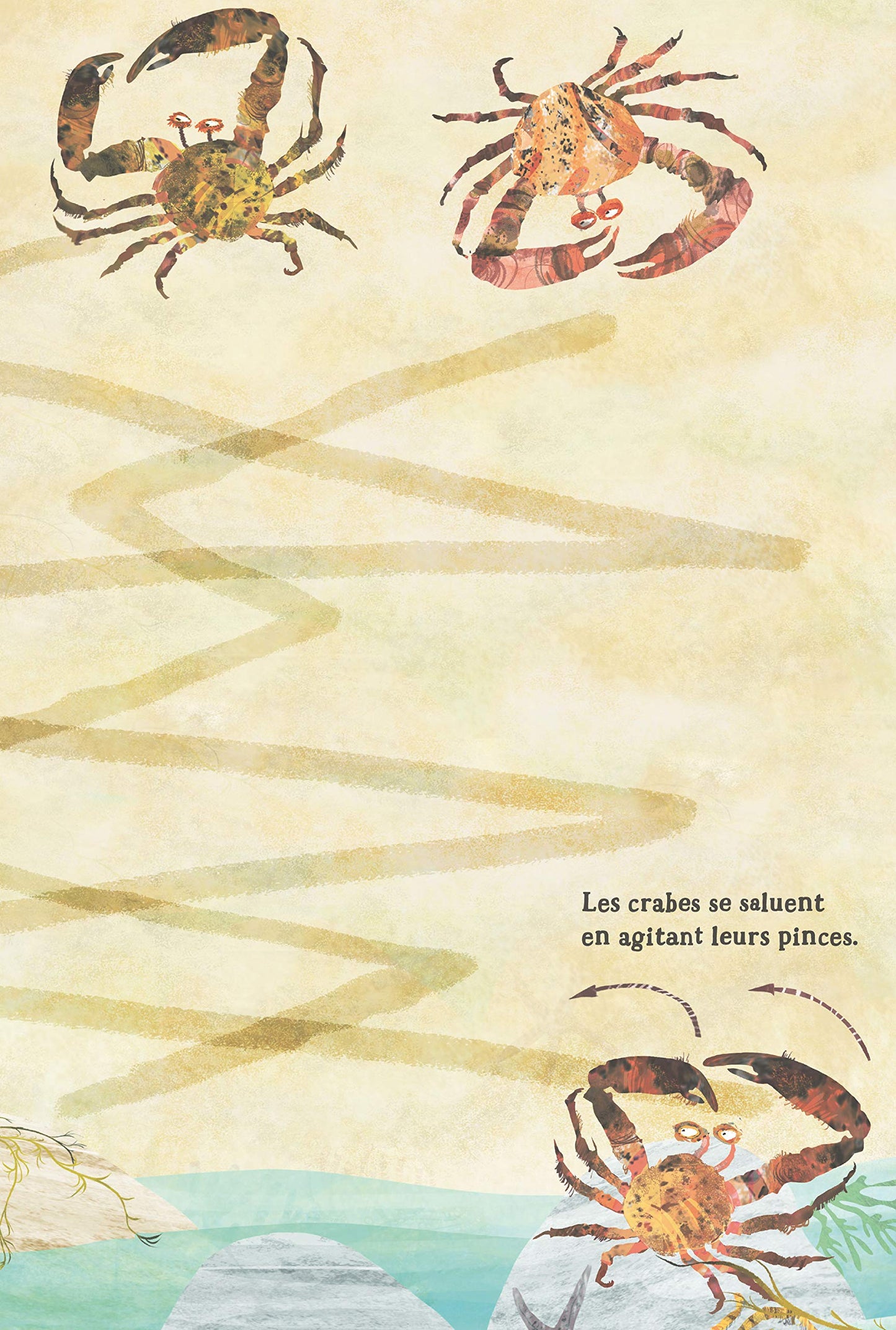 Nos incroyables animaux marins autocollants