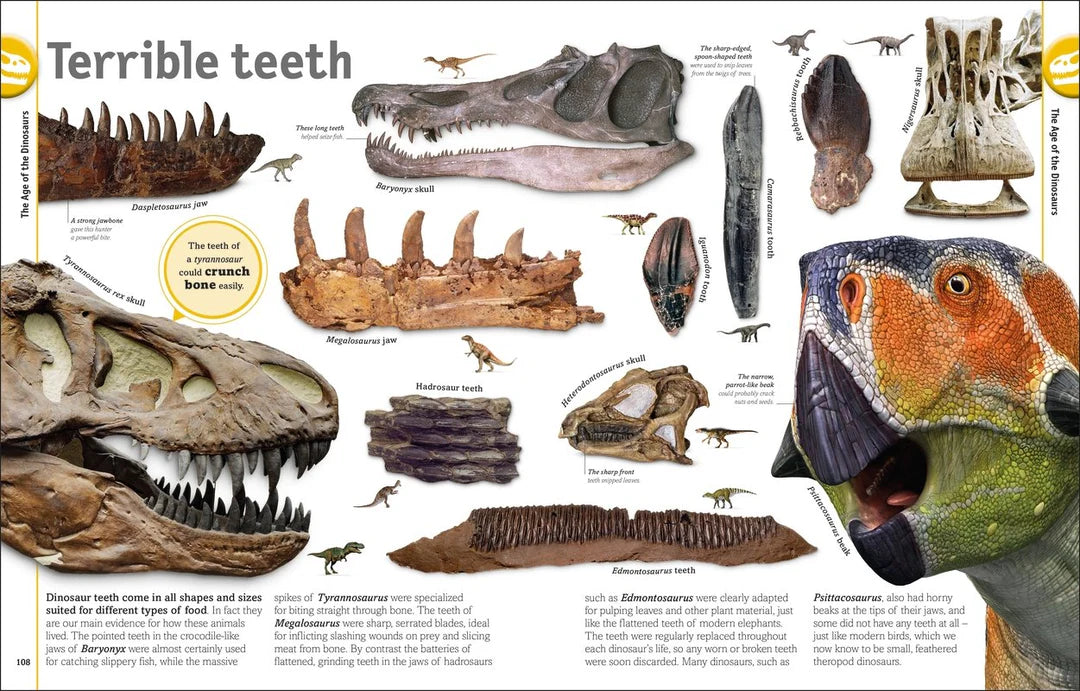 the dinosaur book