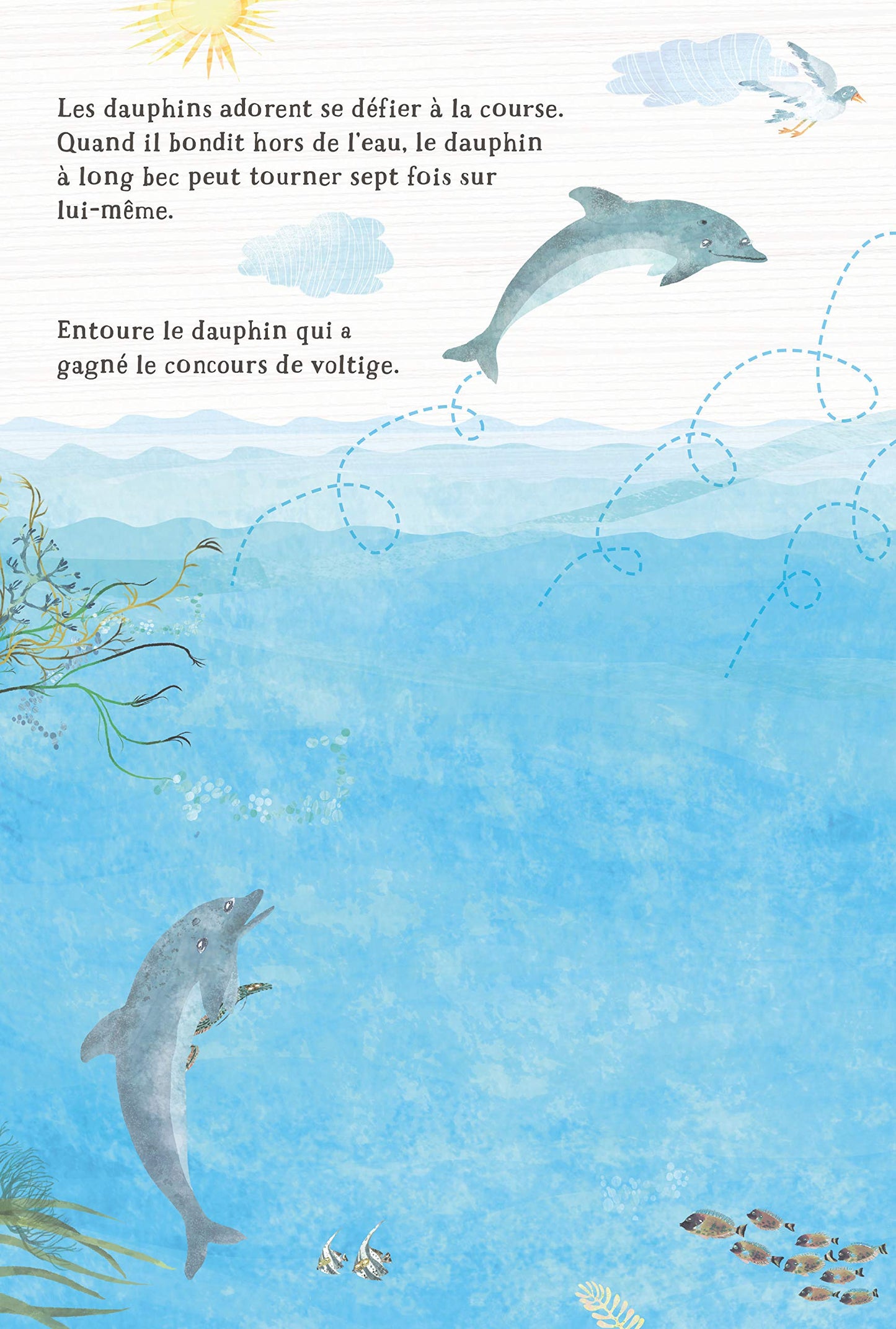 Nos incroyables animaux marins autocollants