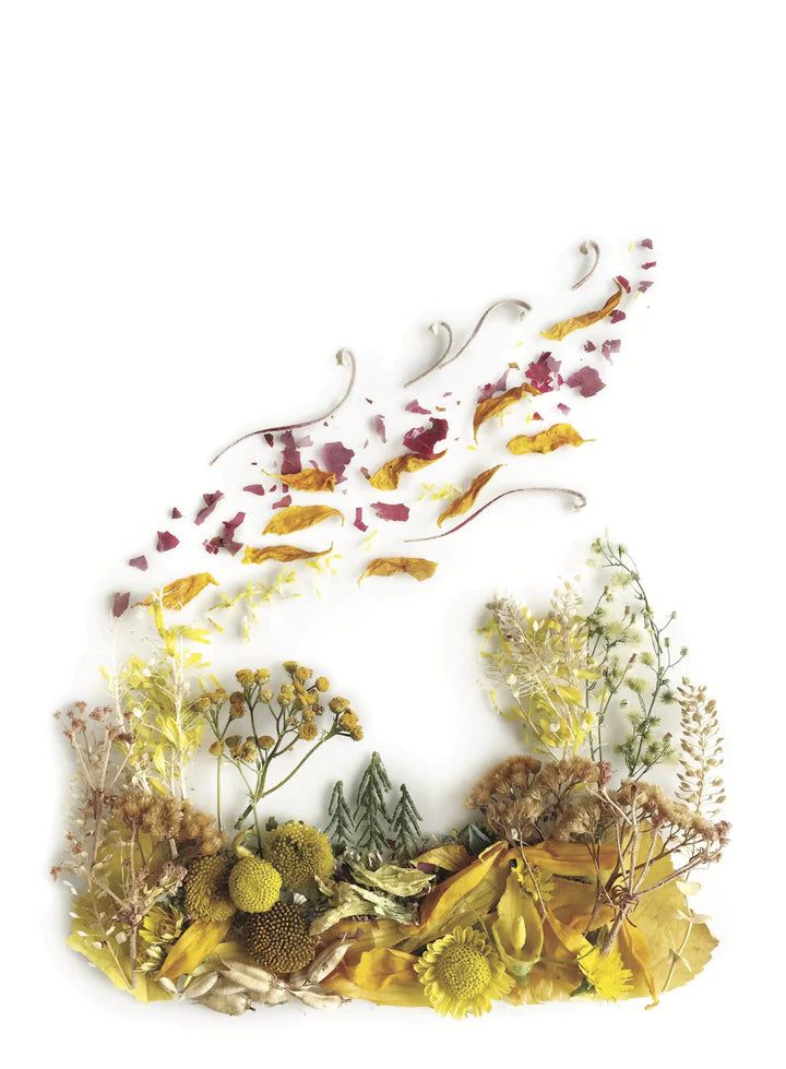 flora forager: un journal saisonnier recueilli dans la nature
