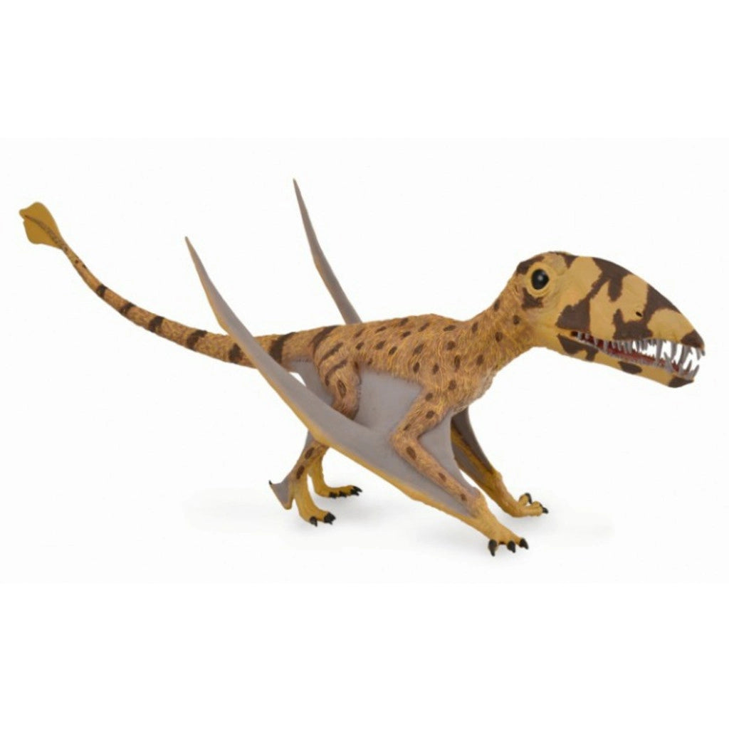 Dimorphodon