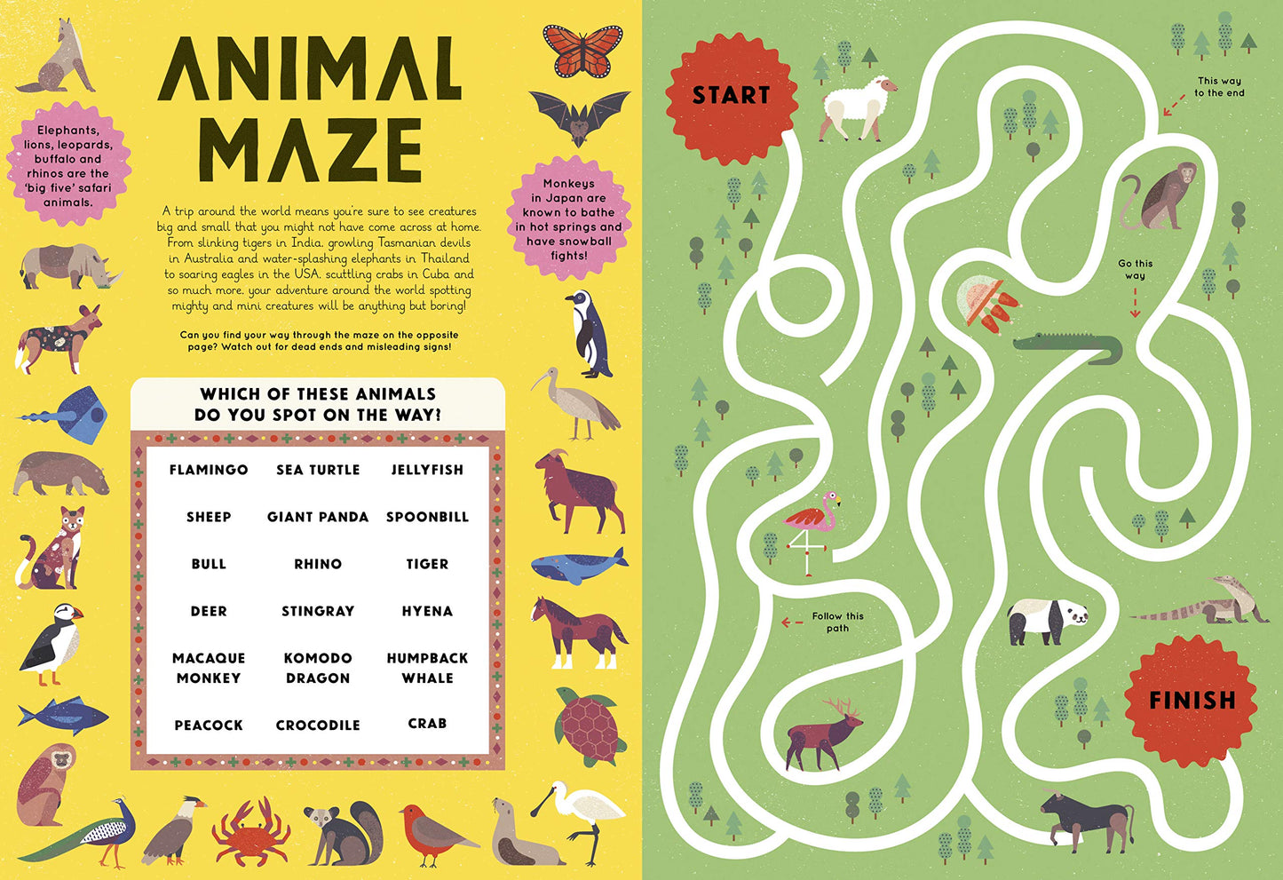 Our Wonderful World Activity Book