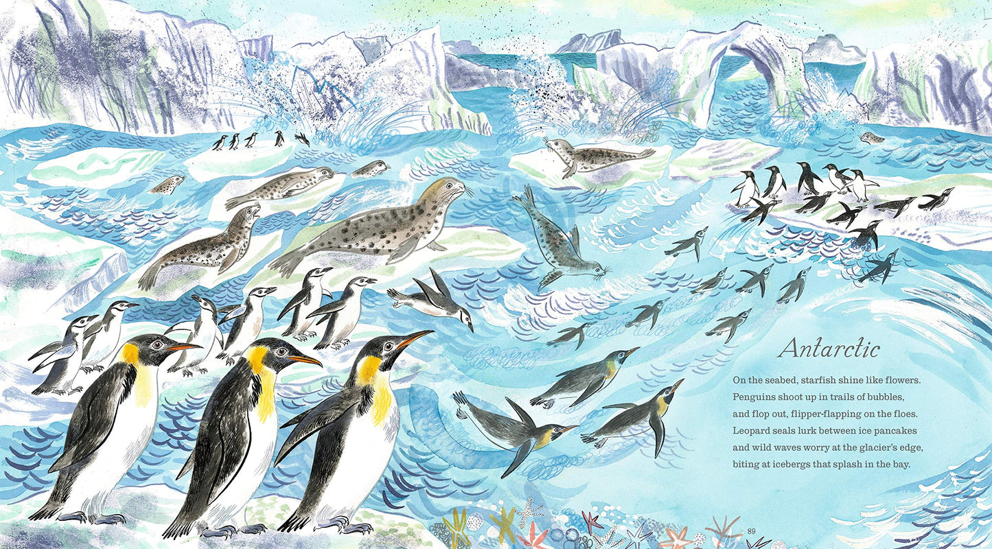 A first book of the sea