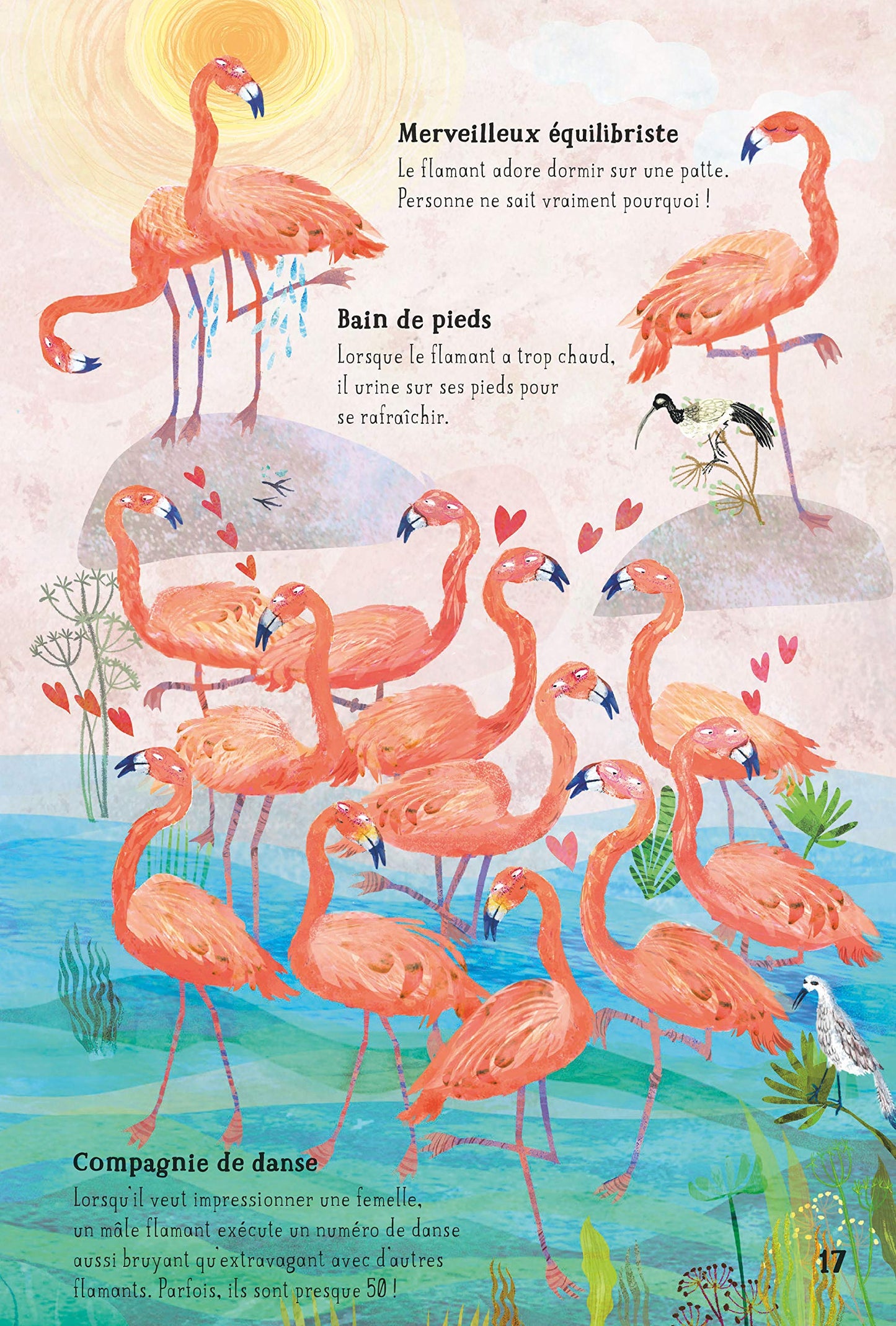 Nos incroyables oiseaux du monde