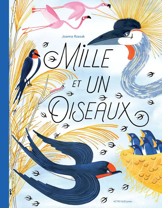 Mille et un oiseaux