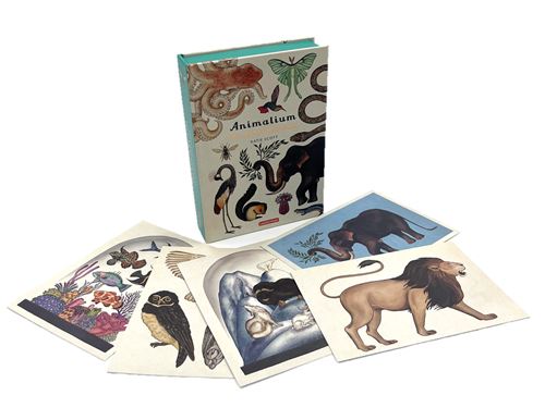 Animalium: 50 cartes postales