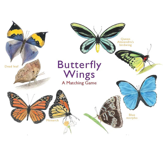 Les ailes de papillon; un jeu d'association (BUTTERFLY WINGS A MATCHING GAME)