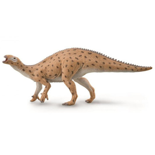 Fukuisaurus