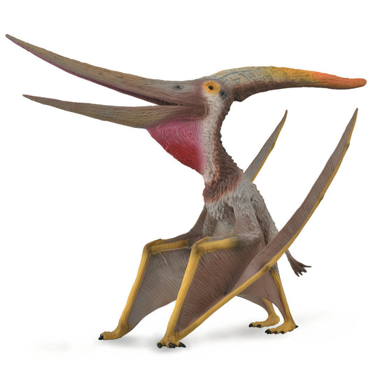 Ptéranodon