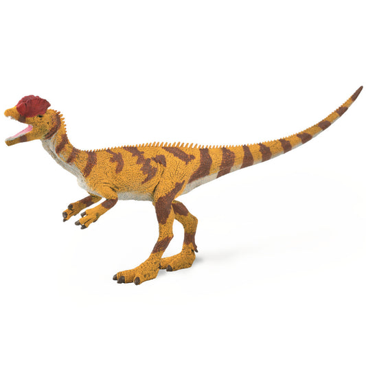 Dilophosaurus