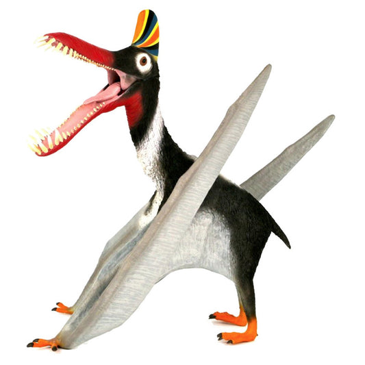 Guidraco