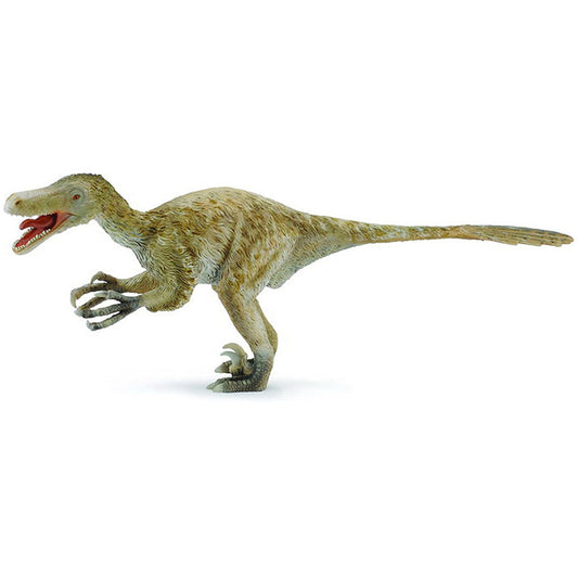 Vélociraptor