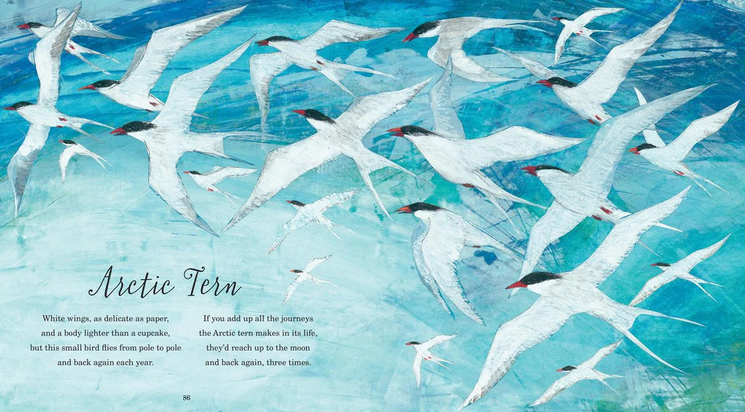A first book of animals