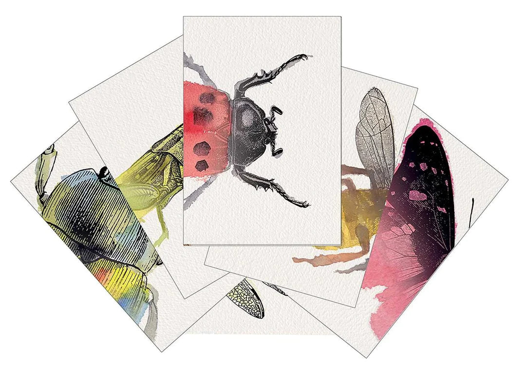 Cartes d'association d'insectes à pile et face