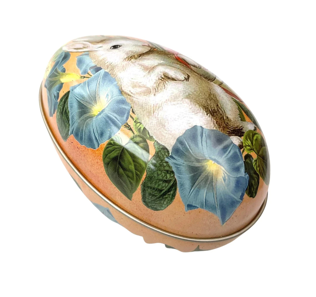 boîte à œufs de lapin; orange