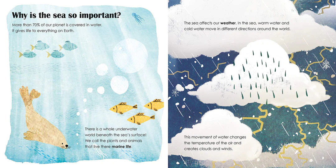 seas - eco board book