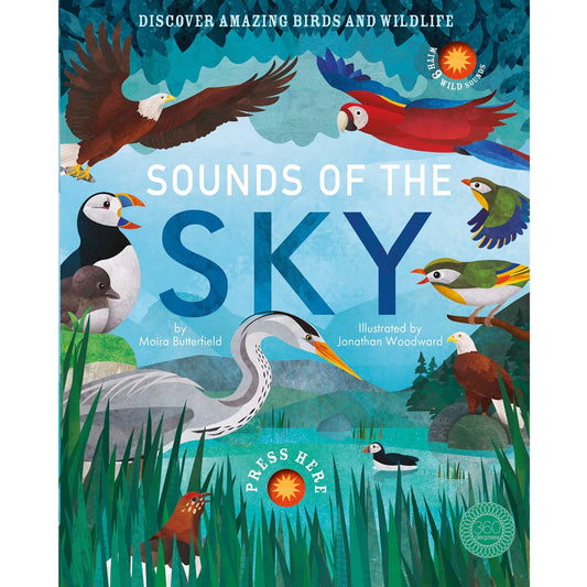 sounds of the skies