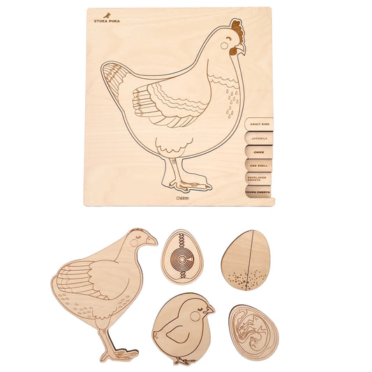cycle de vie de la poule - puzzle en couches