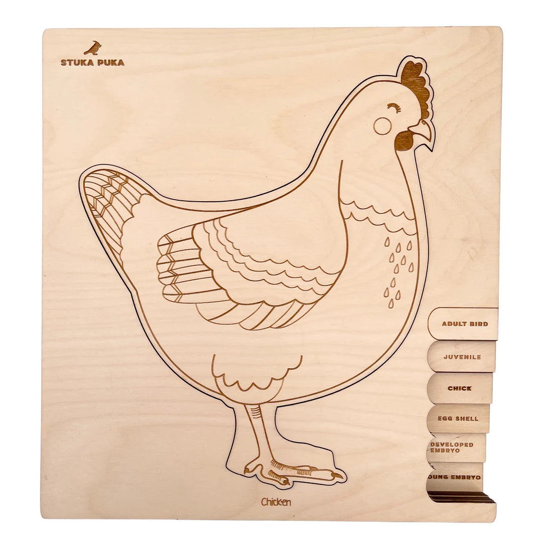 cycle de vie de la poule - puzzle en couches