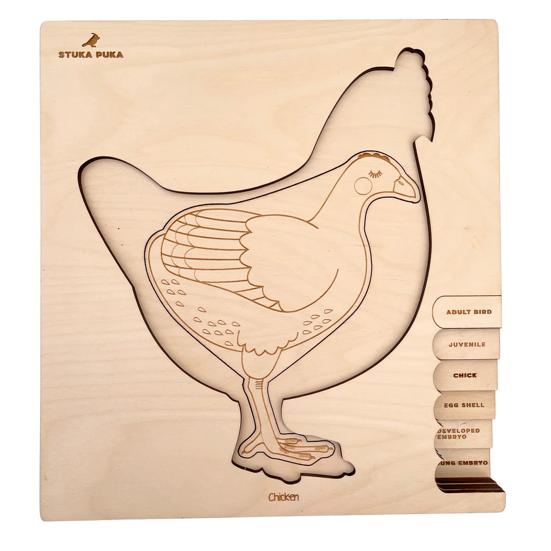 cycle de vie de la poule - puzzle en couches