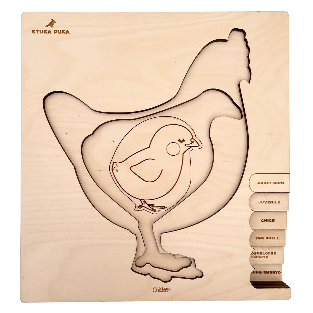 cycle de vie de la poule - puzzle en couches