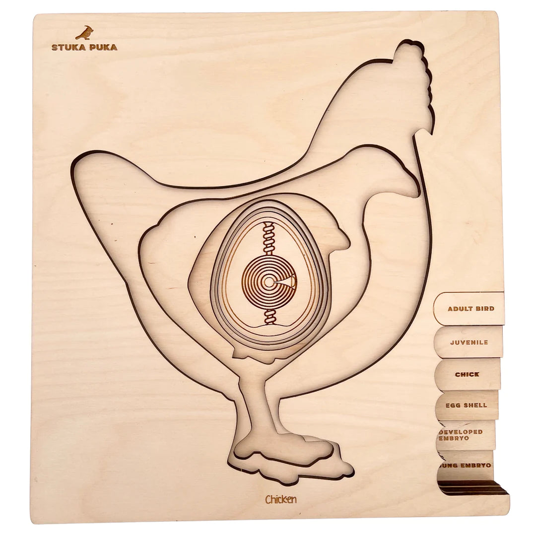cycle de vie de la poule - puzzle en couches