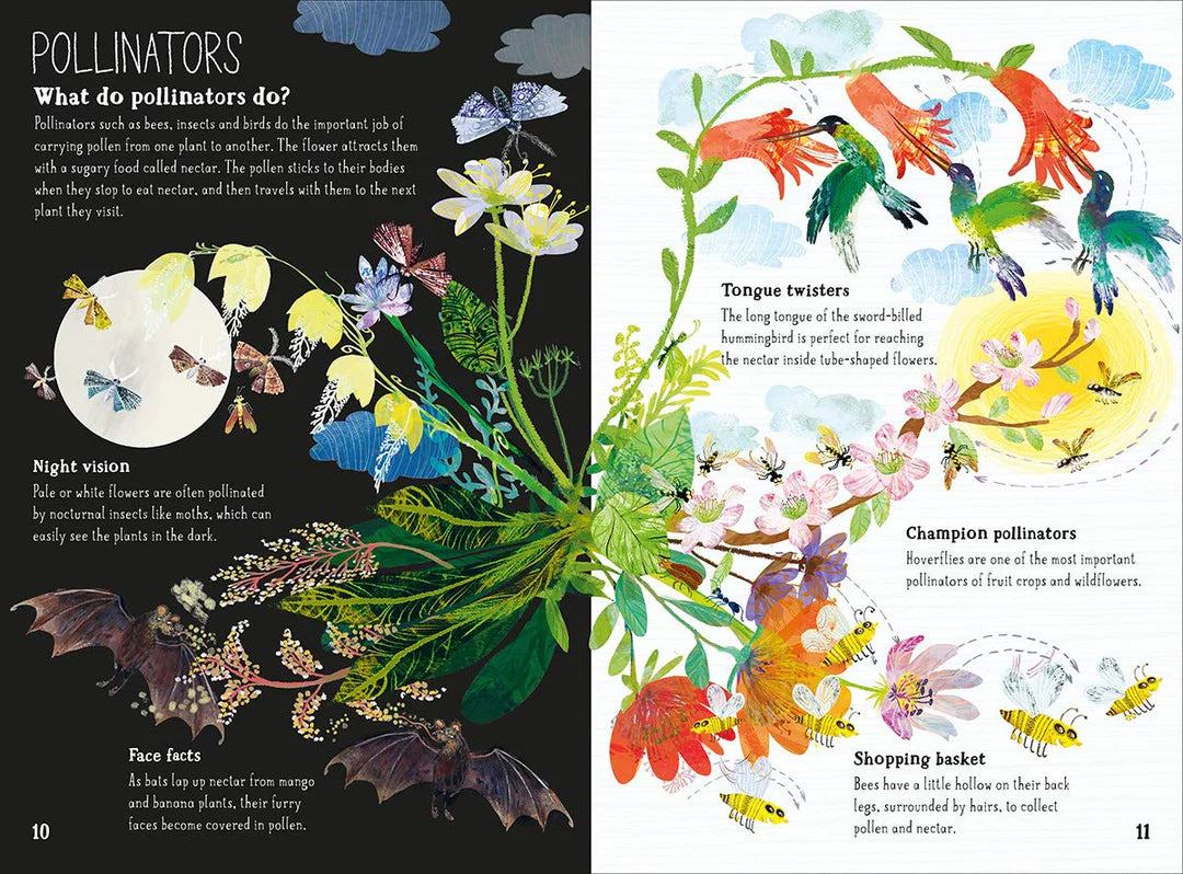 The big book of blooms/ Le grand livre des fleurs