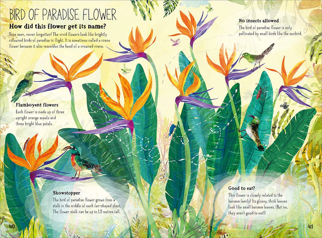 The big book of blooms/ Le grand livre des fleurs
