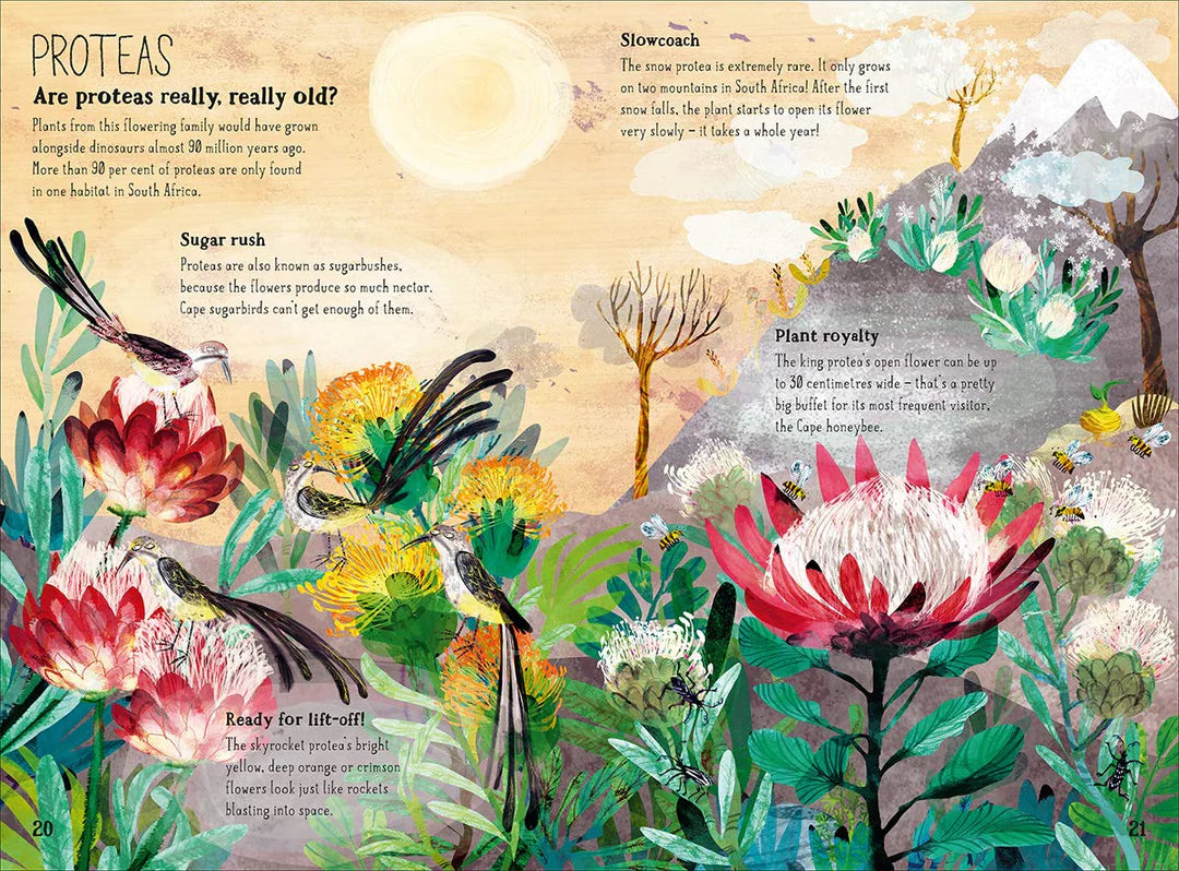 The big book of blooms/ Le grand livre des fleurs