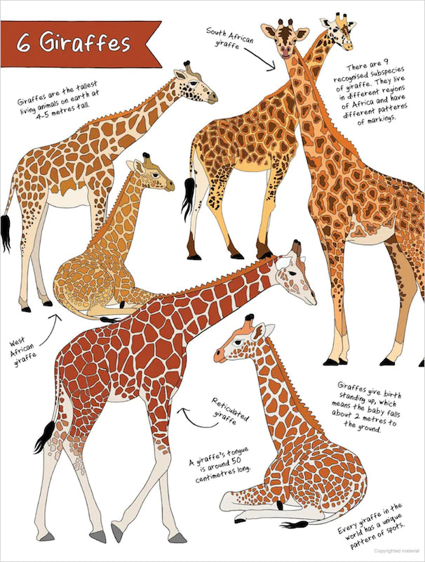 the ultimate animal counting book