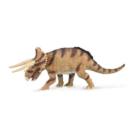 Triceratops Horridus