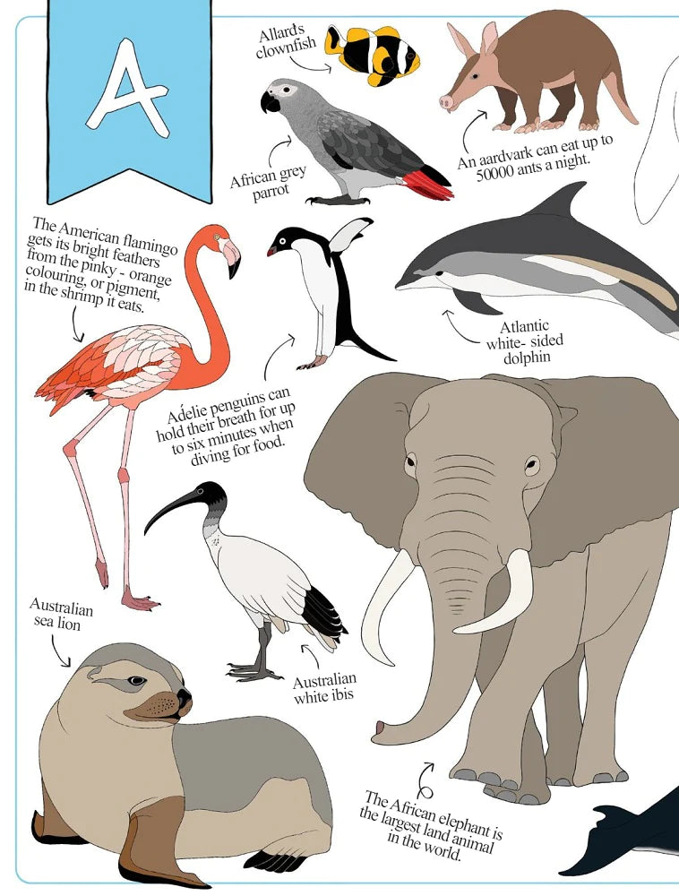 The ultimate animal alphabet book