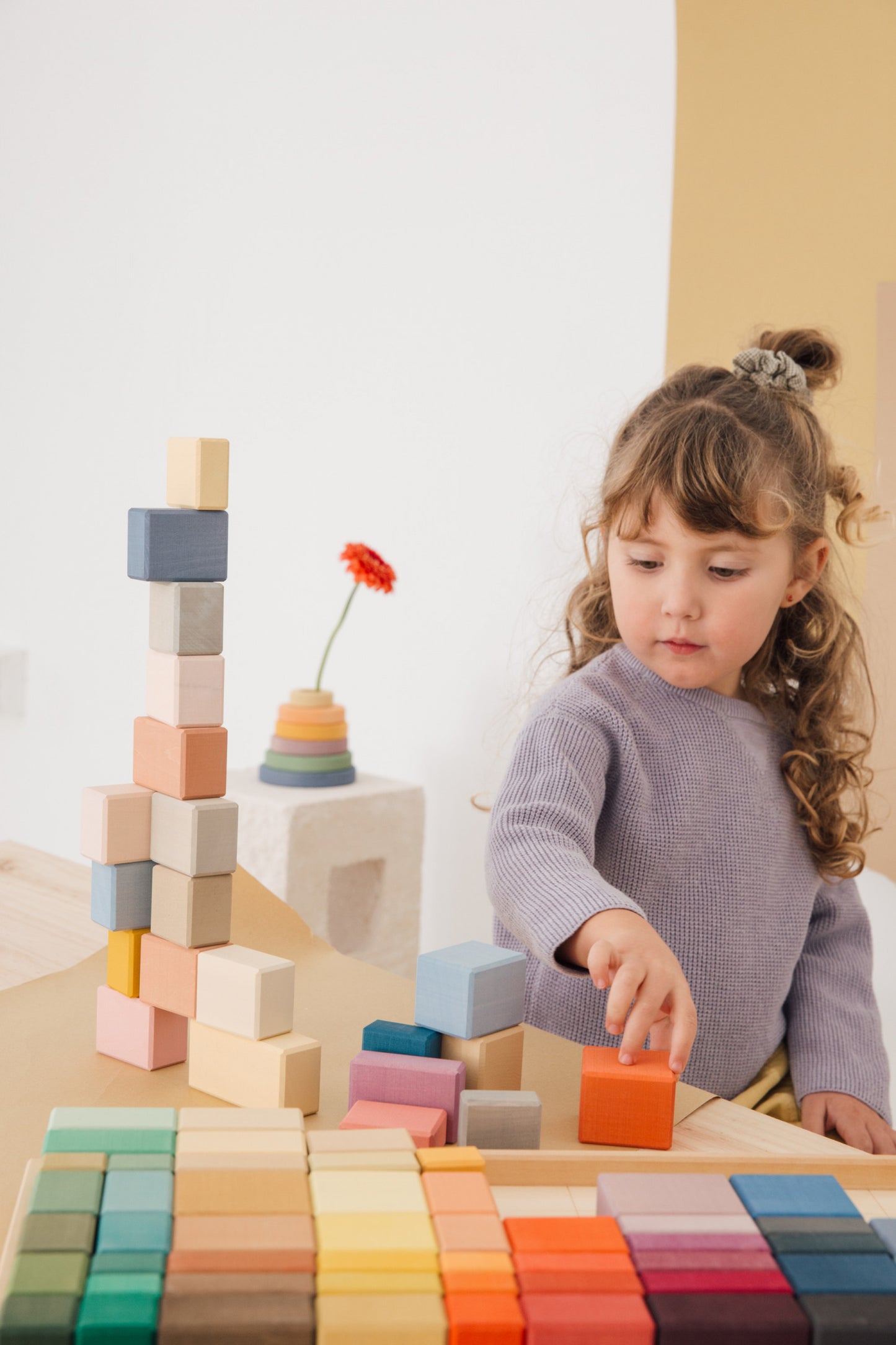 Blocs de construction de palettes
