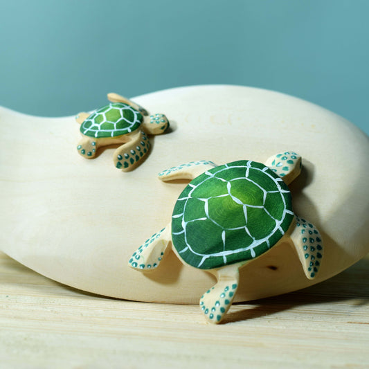 Tortue et Bébé Tortue