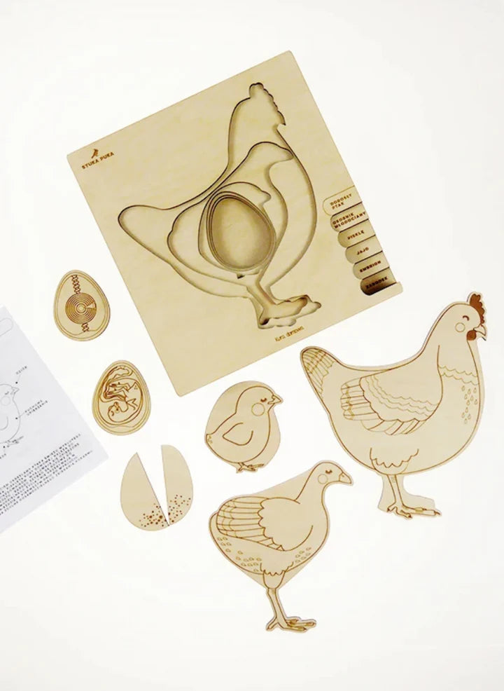 cycle de vie de la poule - puzzle en couches